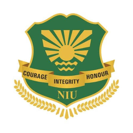 Noida International University